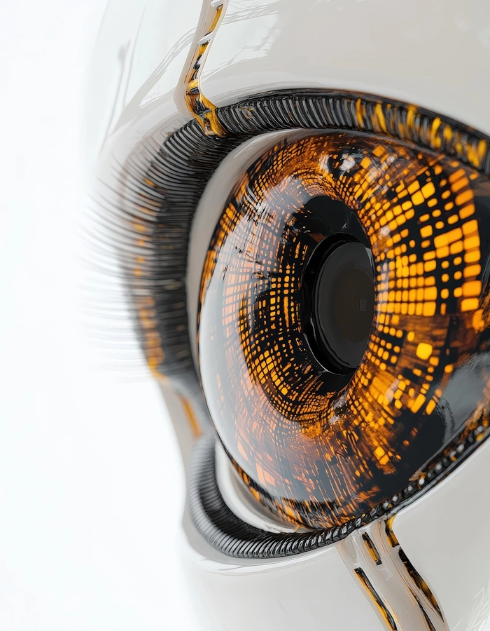Computer Vision Solutions
